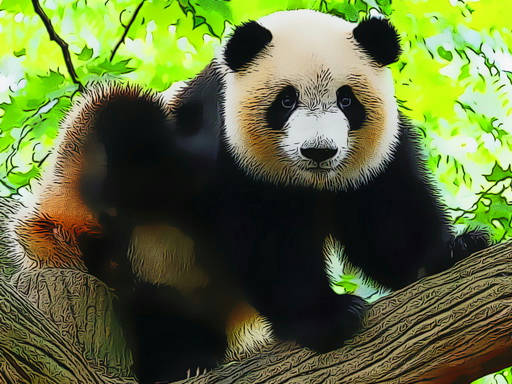 Play Cute Baby Panda