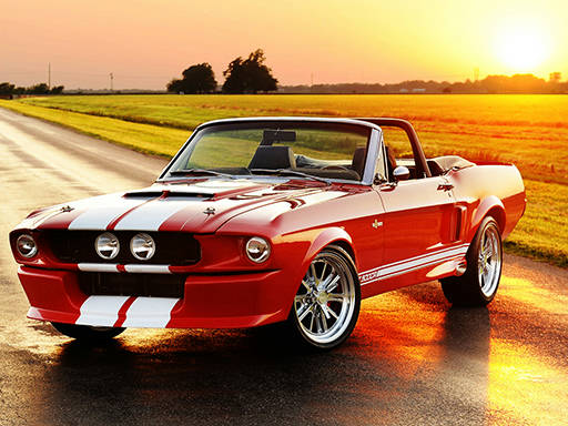 Play Fancy Mustang Differences