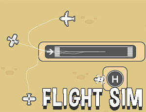 Play Flight Sim