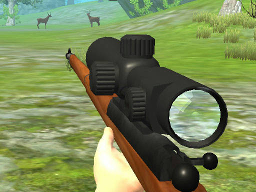 Play Hunter 3D