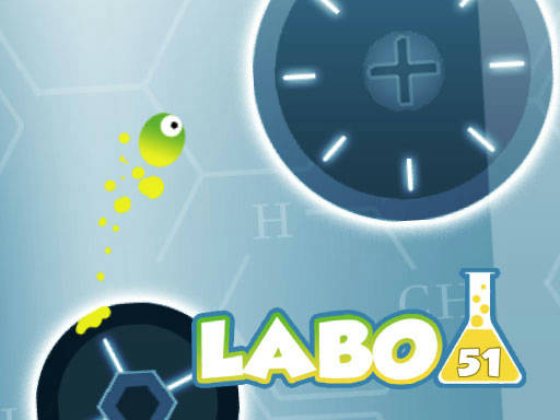 Play Labo 51