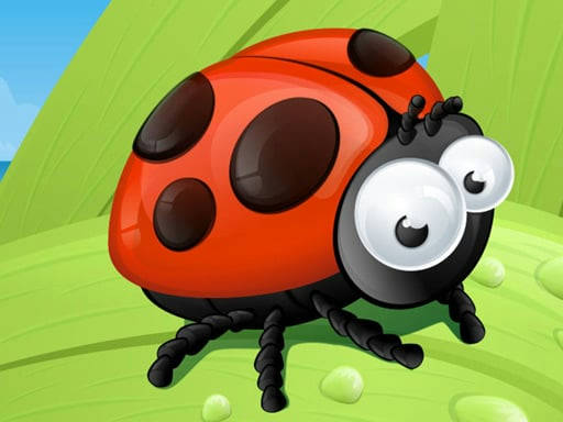 Play Ladybug Slide