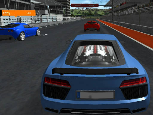 Play Racer 3D