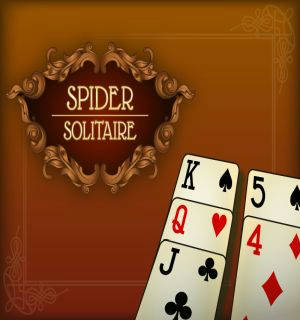 Play Spider solitaire!