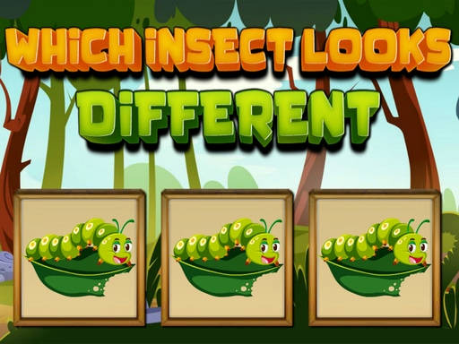 Play Which Insect Looks Different