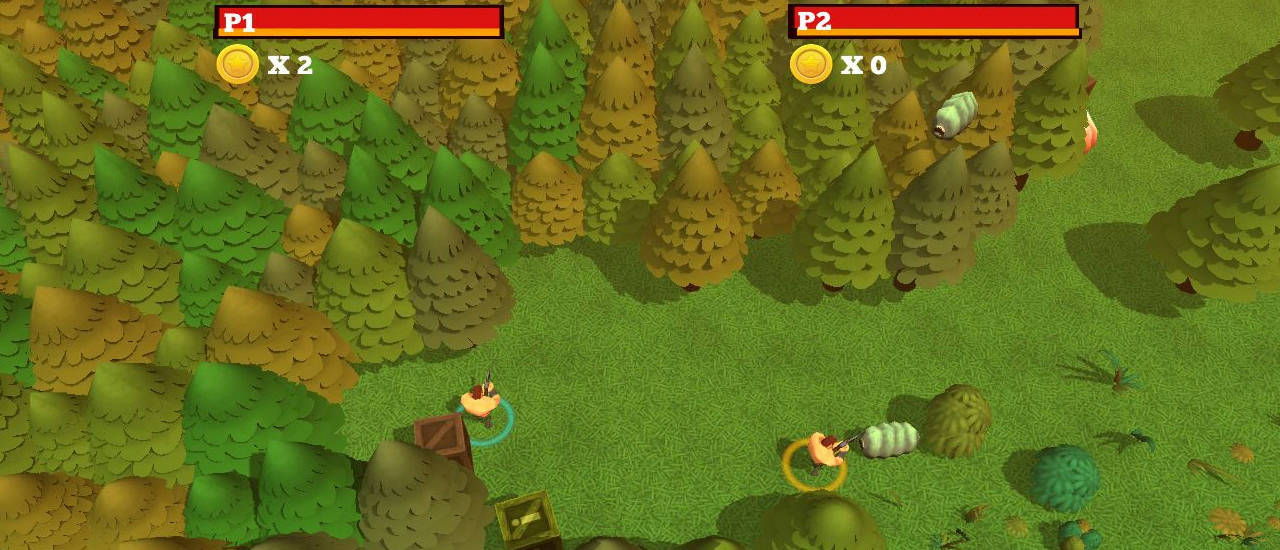 Play Worms Combat Coop