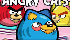 Angry Cats