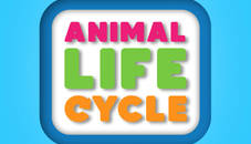 Animal Life Cycle