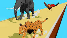 Animal Transform Race 3D