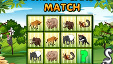 Animals Cards Match