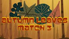 Autumn Leaves Match 3