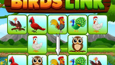 Birds Link