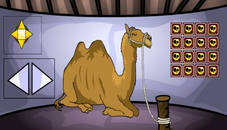 Camel Escape