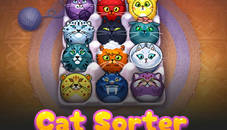 CatSorter Puzzle