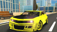 City Car Driving 3d