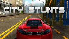 City Car Driving Simulator