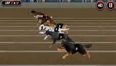 Crazy Dog Racing Simulator Games 3D