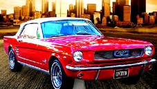 Daily Mustang Jigsaw