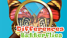 Differences Butterflies