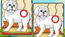 Dogs Spot The Differences 2