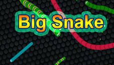 EG Big Snake