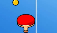 Endless Ping Pong