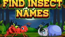 Find Insect Names