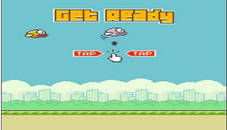 flappy bird 2D