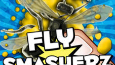 Fly SmasherZ