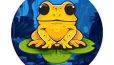 Frog Jumper