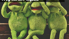 Frog Kermit