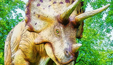 Giant Triceratops Puzzle