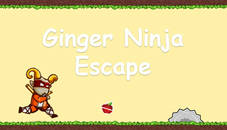 Ginger Ninja Escape