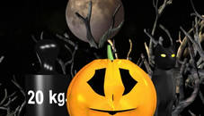 Halloween Pumpkin Weighin;