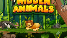 Hidden Animals