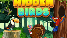 Hidden Birds