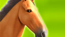 Horse Run 3D