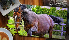 Jigsaw Puzzle Horses Edition