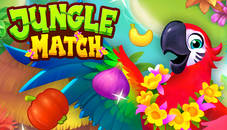 Jungle Match