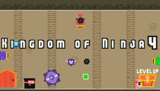 Kingdom of Ninja 4