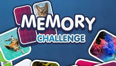 Memory Challenge