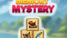 Memory Mystery