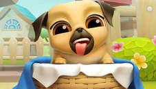 My Cute Puppy Grooming 3D