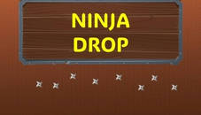 Ninja Drop