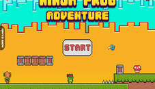 Ninja Frog Adventure