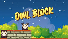 Owl Block