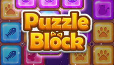 Puzzle Block