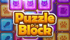 Puzzle Block