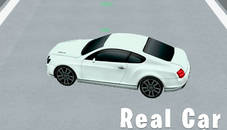 Real Car Parking 3D