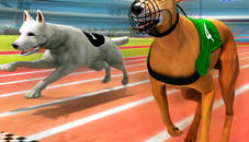 Real Dog Racing Simulator 3D